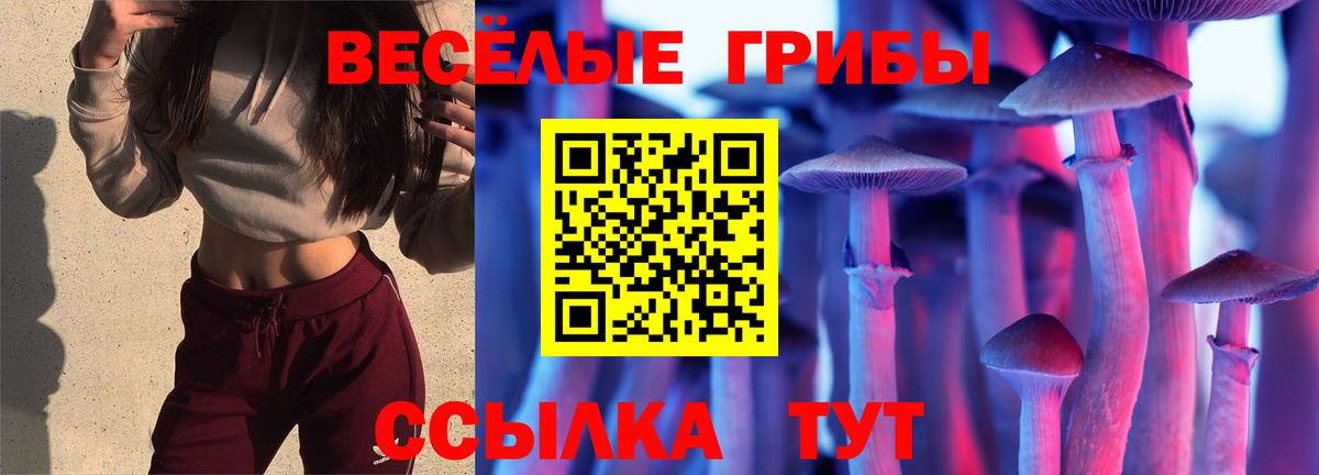 купить закладку  Галлюциногенные грибы мицелий  Вход с VPN  Кизилюрт 